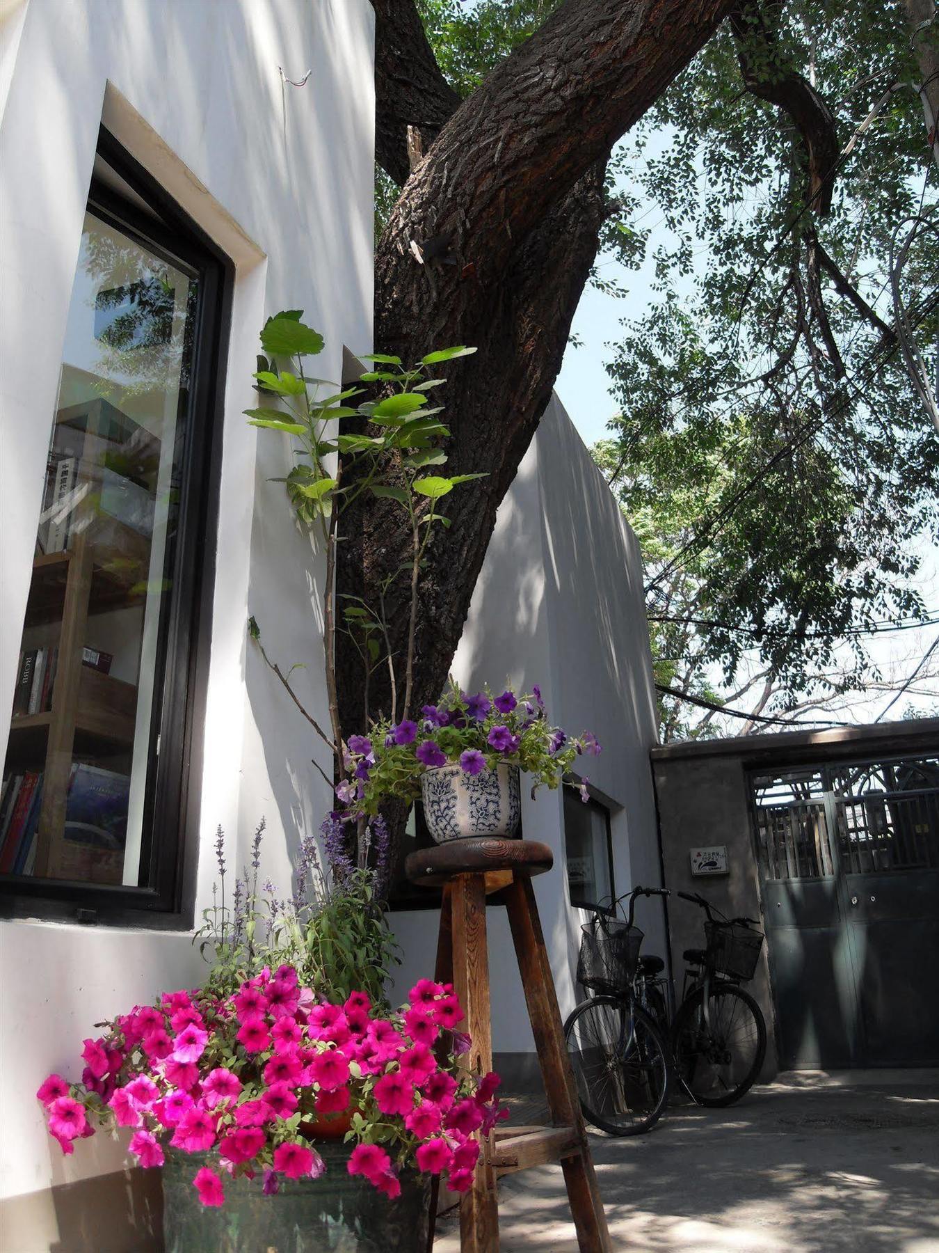 Beijing Wohkoon Hostel-Nan Luo Gu Xiang Branch Luaran gambar
