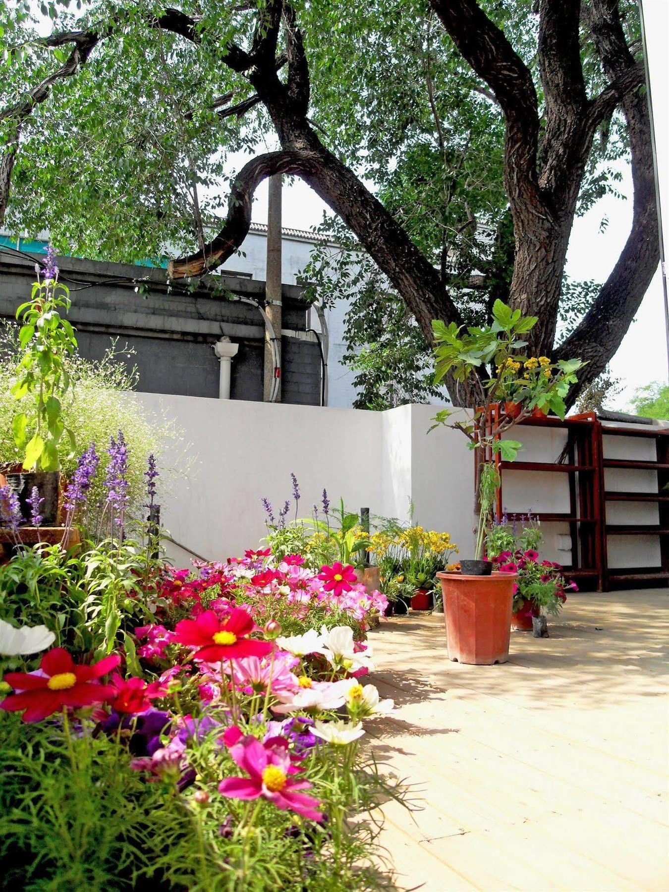 Beijing Wohkoon Hostel-Nan Luo Gu Xiang Branch Luaran gambar